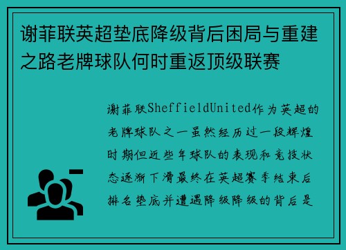 谢菲联英超垫底降级背后困局与重建之路老牌球队何时重返顶级联赛 谢菲联英超垫底降级背后困局与重建之路老牌球队何时重返顶级联赛